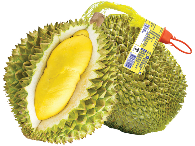 Whole Monthong Durian Fruit