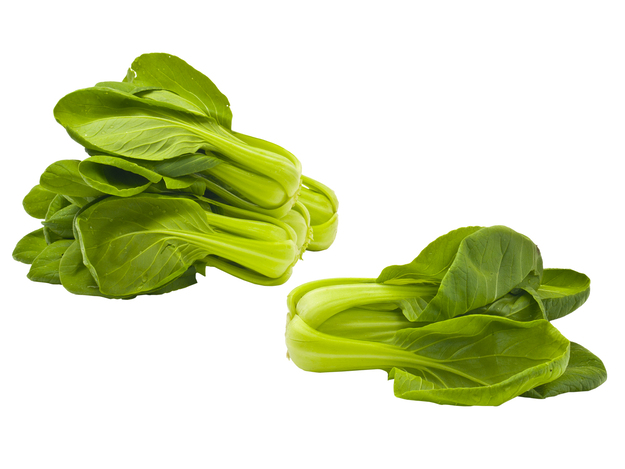 Shanghai Pak Choi