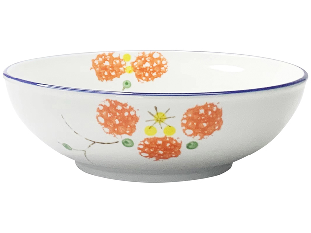 Japanese Ceramic Bowl