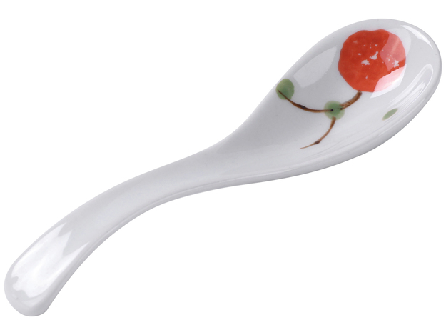 Ceramic Spoon