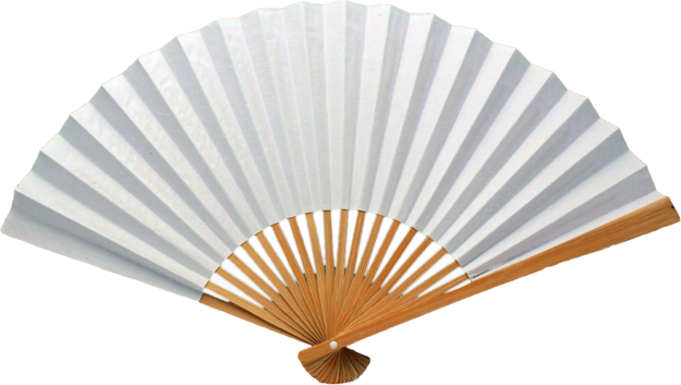 Fan white 25 cm