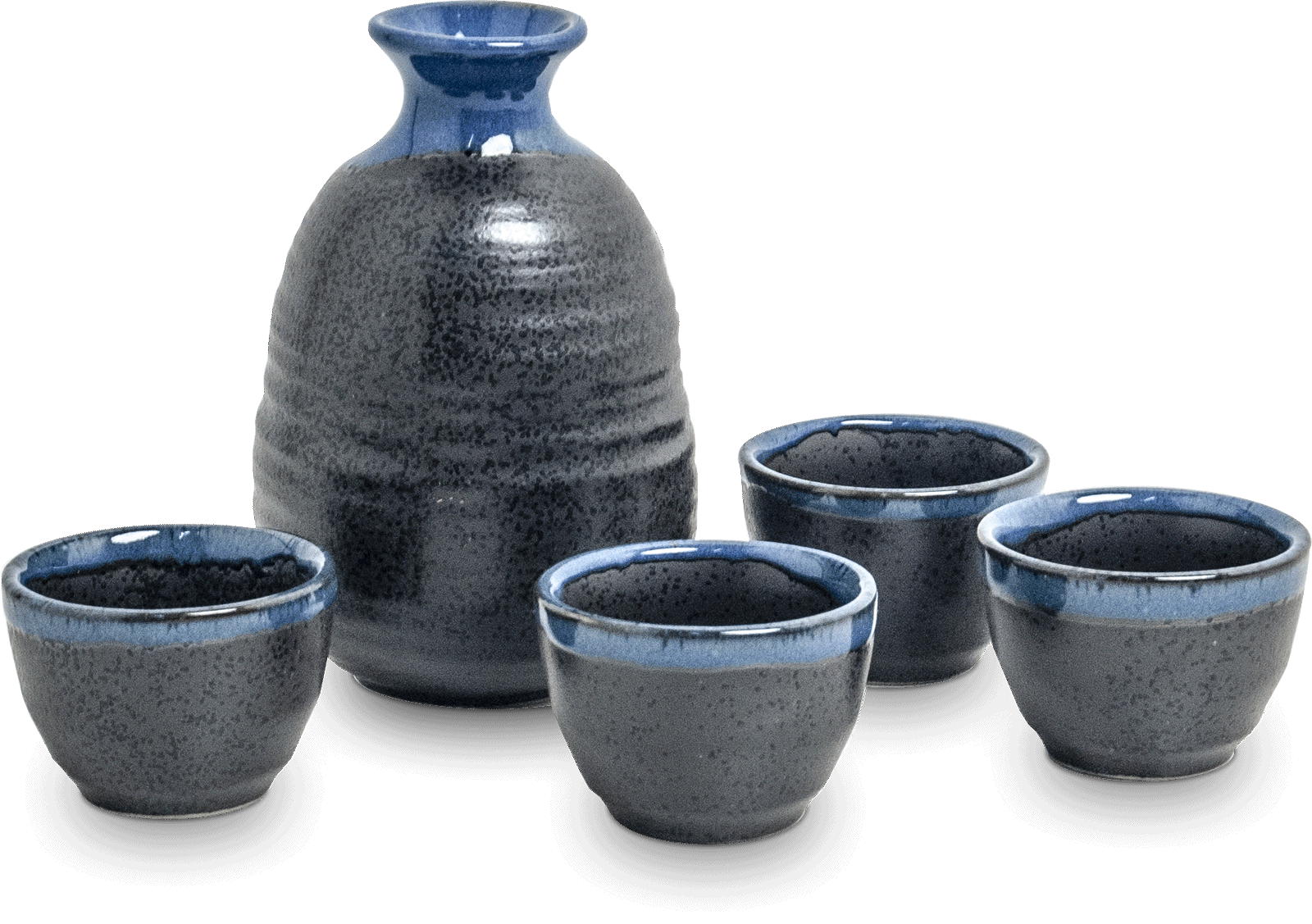 EMRO Sake Set (5-delig) zwart-blauw